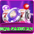 Casino App Pakistan Premium Pakistan