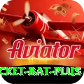cricket bat Premium Gaming App