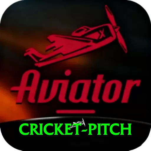 cricket pitch APK Max v3.0.0 - 2