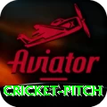 cricket pitch APK Max v3.0.0