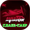 grass carp Plus - Casino & Slots