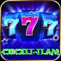 ireland cricket team App Prime v1.7.0