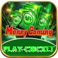 play cricket Ultimate - Casino & Slots