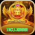 tiger888 Gaming Master
