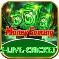 watch live cricket Gaming Supreme v4.0.3